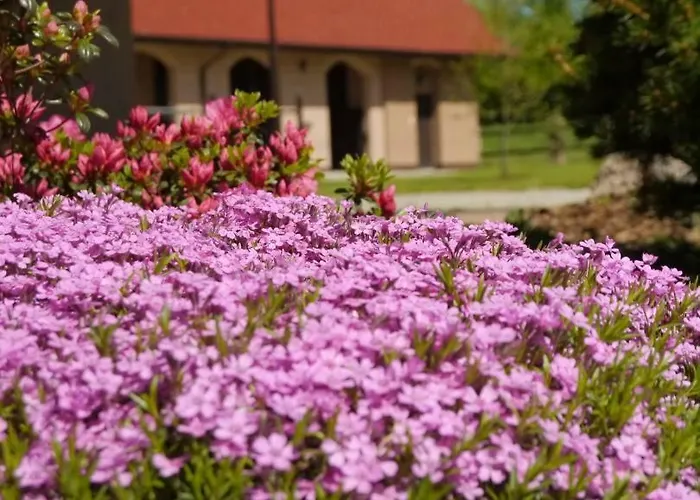 Gospodarstwo agroturystyczne Enklawa *
