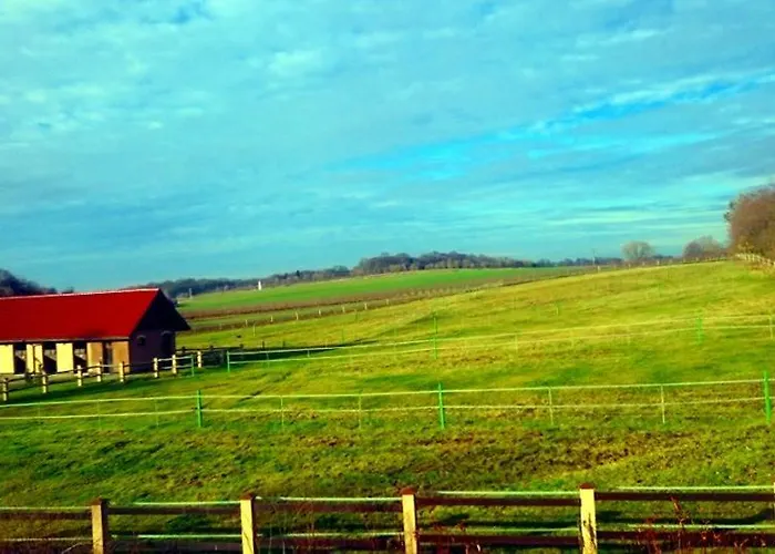 Enklawa Gospodarstwo agroturystyczne *